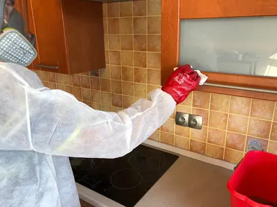 Ostatnie Sprzątanie Po Zgonach w Kielcach