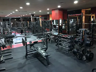 Shogun Siłownia Fitness