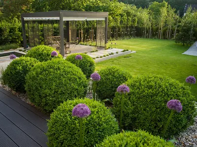 Małgorzata Skowron Projektowanie Zieleni